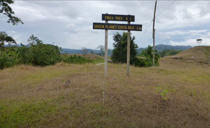 Die angebliche Kautschukplantage mit 30.000 Bäumen auf der Finca Tres X 1 in Costa Rica mit den Koordinaten 9 Grad 57'38'' N und 83 Grad 34'42'', fotografiert am 29. August 2013
