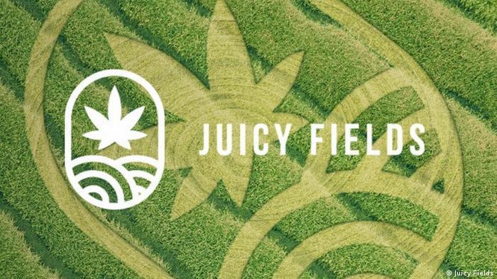 Mit Juicyfields.io Cannabis-Anbau werden © Juicy Fields
